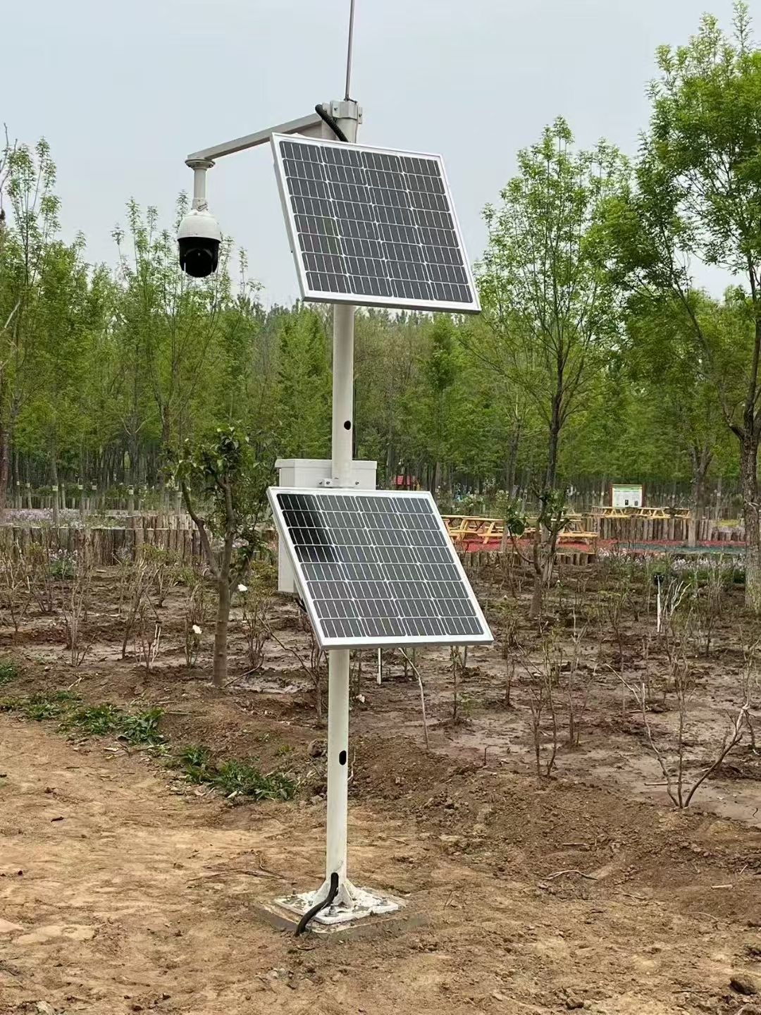 “一识多感”生物多样性监测系统