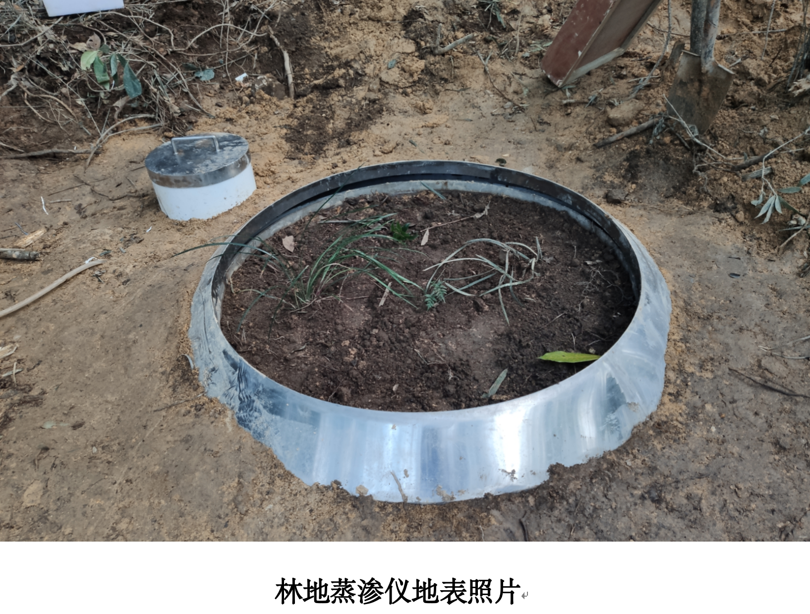 直称式小型蒸渗仪(图1)