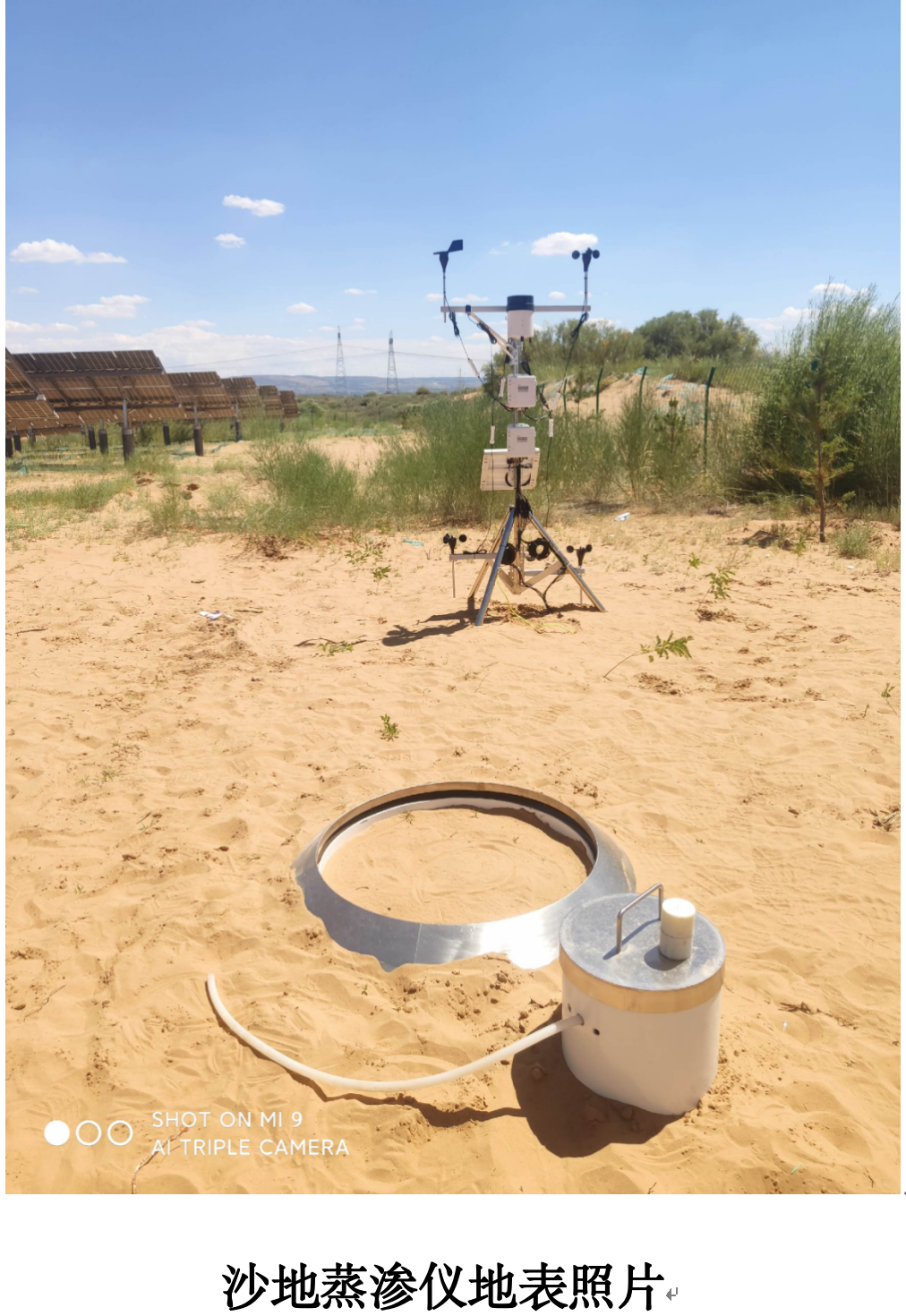 直称式小型蒸渗仪(图2)