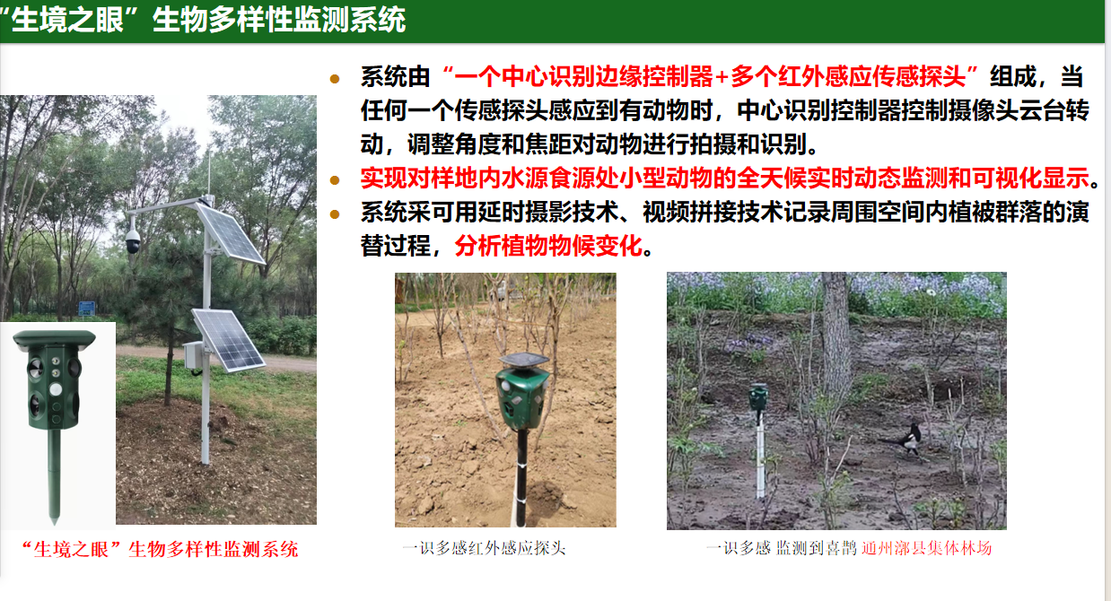“一识多感”生物多样性监测系统(图1)