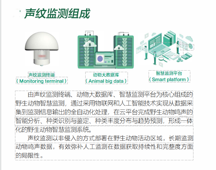 声纹监测系统(图1)
